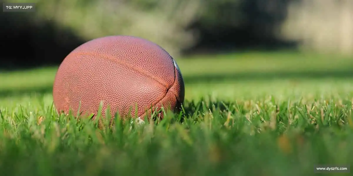 行业领先的理由